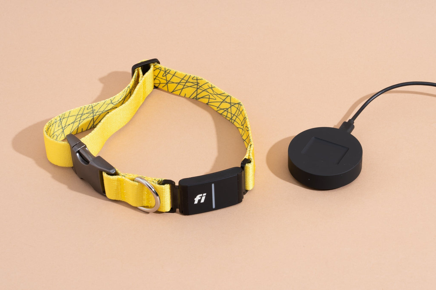 GPS Dog Fence