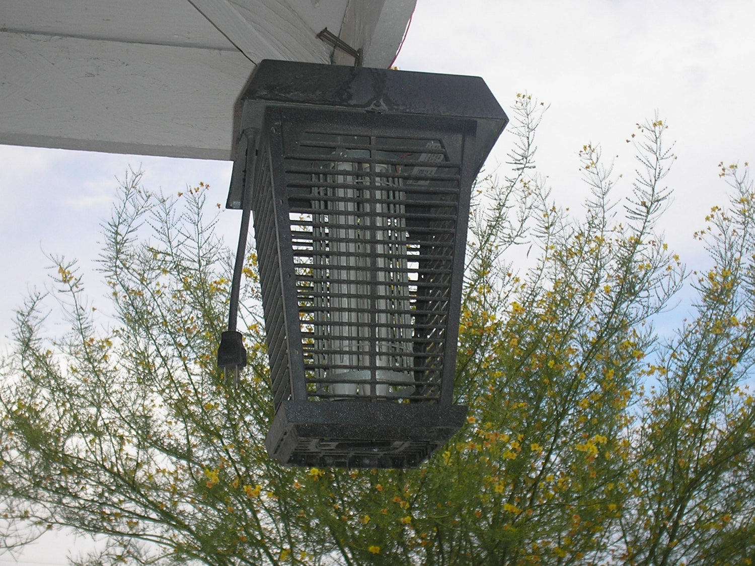 Bug Zappers