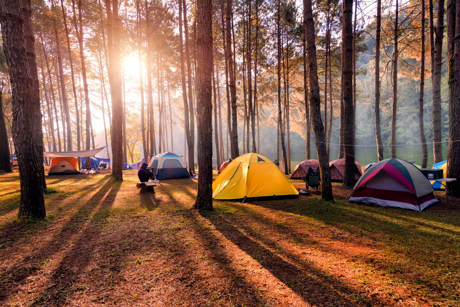 Tents