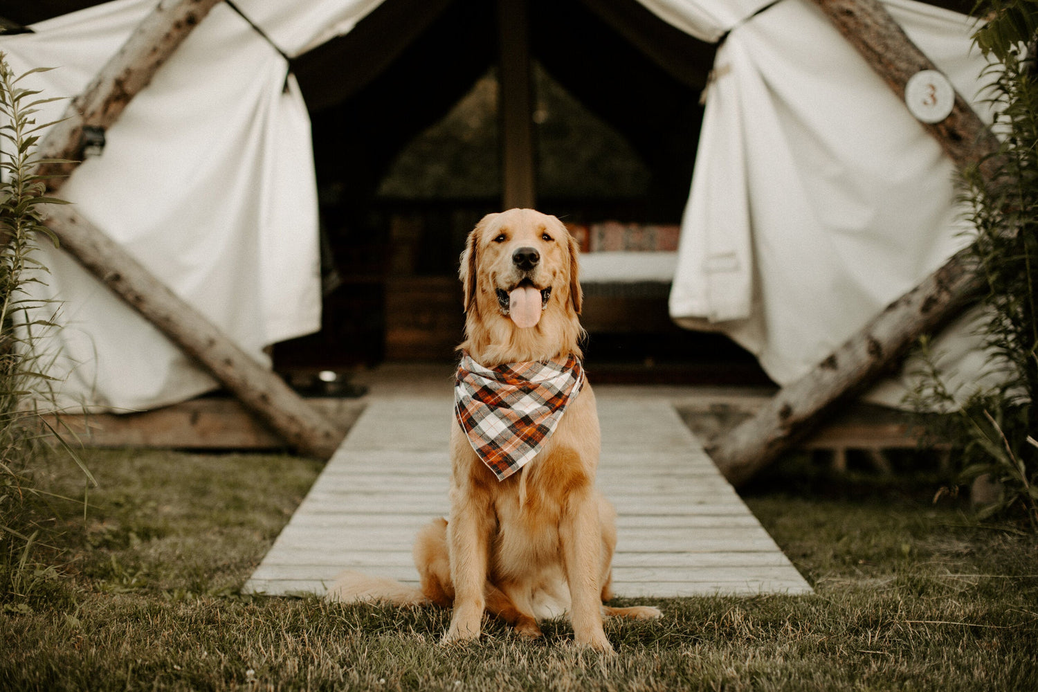 Outdoor Pet Goods