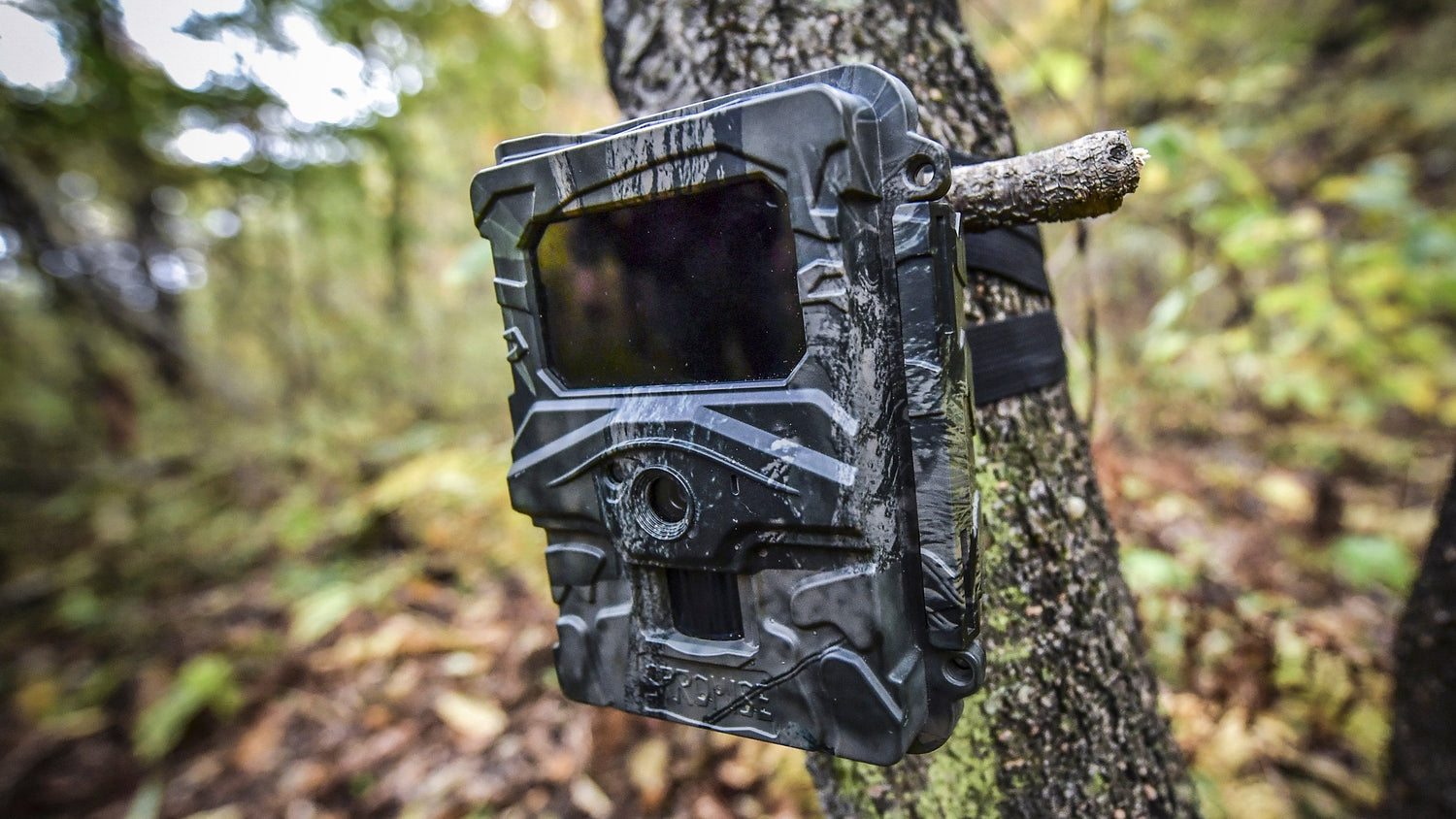 Trail cameras